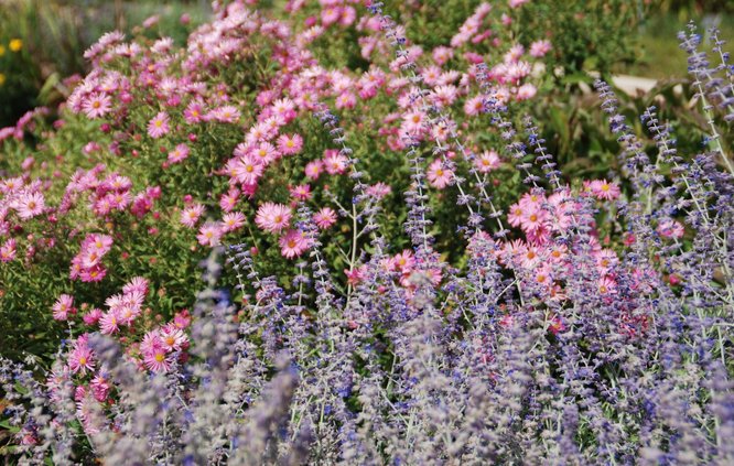 loc_lgp_myerscolumnpic