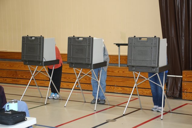 voting