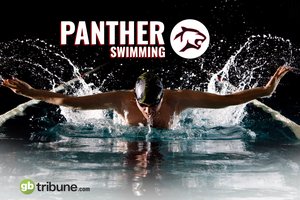 panther swimming