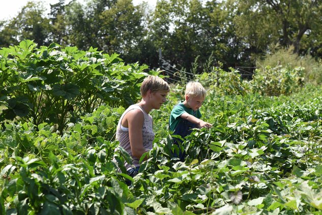 agri_lgp_shopksfarmspic