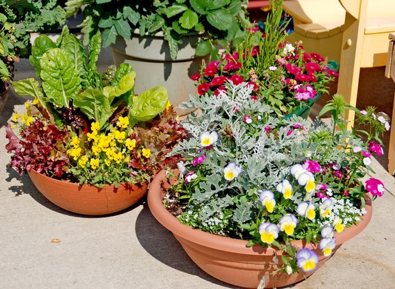 loc_lgp_myerscolumnpic