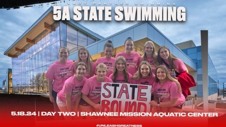 state swim