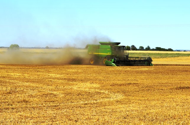 wheat-harvest2024-first-cuts