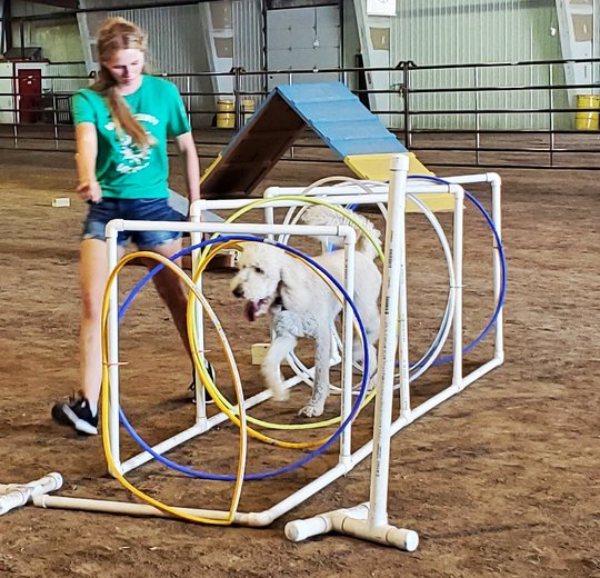 Blue Jeans & Big Dreams - Barton County Fair 2024