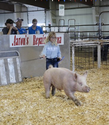 4-h pig nora burns