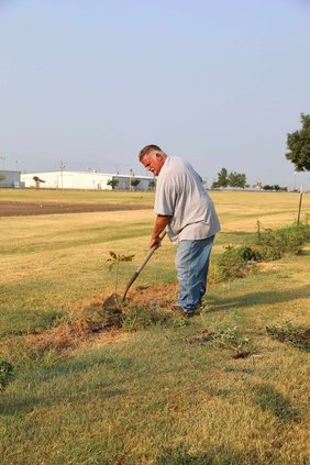 doug burt weeding 24