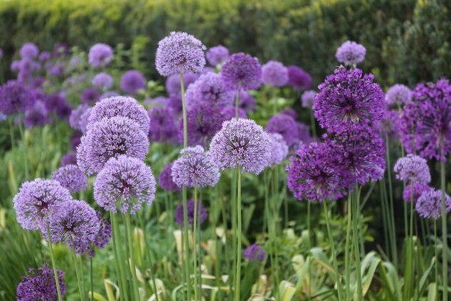 loc_lgp_myerscolumnpic