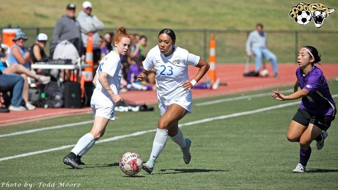 cougar women soccer