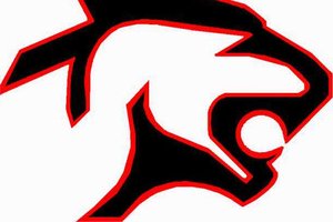 GBHS Panther logo clr 