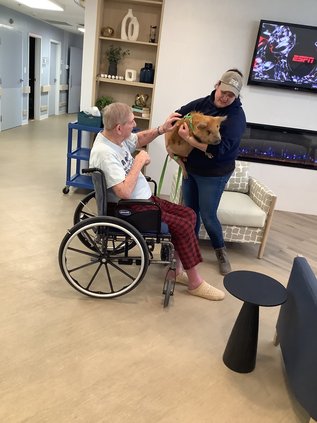 kune kune pig at Azria 2024