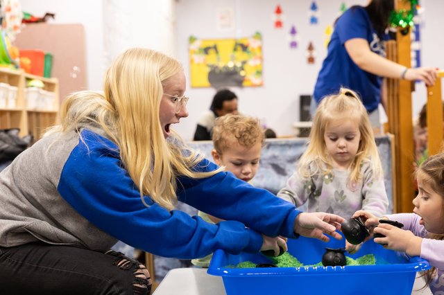 Science Activities for the Young Child course offered by college