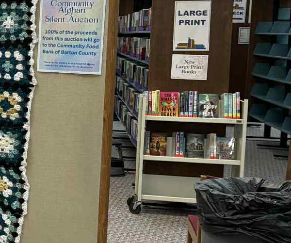 ent_lgp_booknookpic