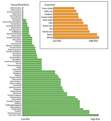 agri_lgp_campbellcolumnpic