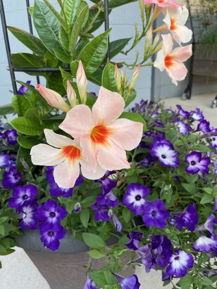 loc_lgp_myerscolumnpic