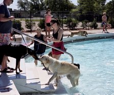 bark waterpark 2025
