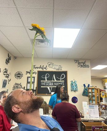 cody harris flower 2