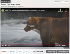 exploredotorgscreenbears