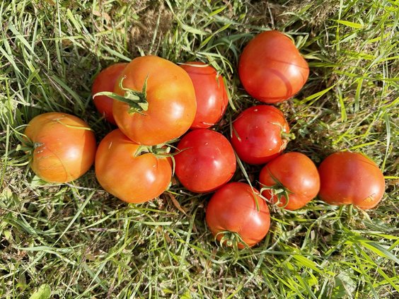 loc_lgp_myerscolumnpic