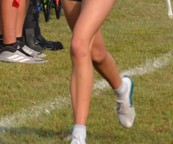 Sydney Stein