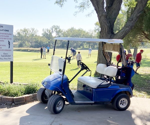 chu_lgp_pinrceofpeacegolfpic
