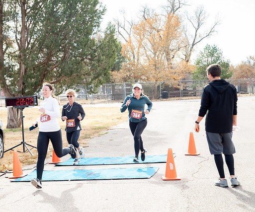 new_lgp_sunflowerturkeytrotpic