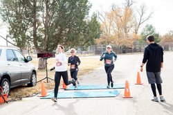 new_lgp_sunflowerturkeytrotpic