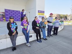 walk to end alz 2025