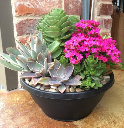 loc_lgp_myerscolumnpic