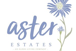 biz_lgp_asterestateslogo