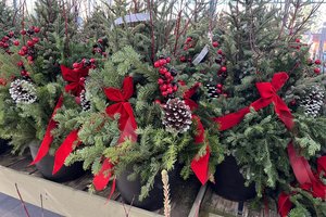 loc_lgp_myerscolumnpic