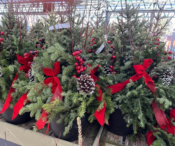 loc_lgp_myerscolumnpic