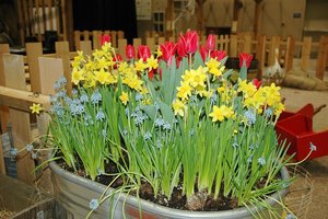 loc_lgp_myerscolumnpic