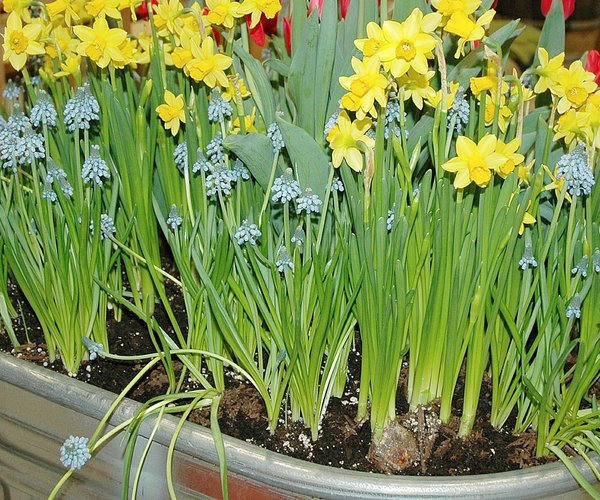 loc_lgp_myerscolumnpic