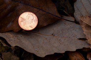 edi_lgp_medinaartwork