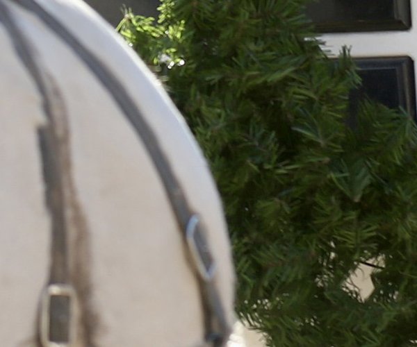 Fort Larned 2024 Christmas