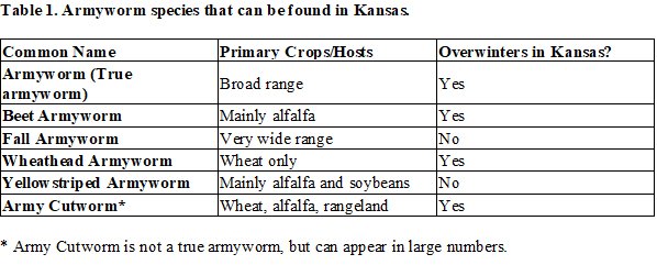 agri_lgp_campbellcolumntable