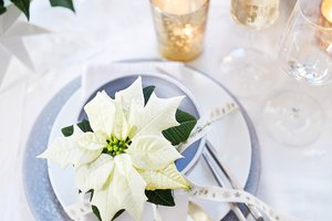 loc_lgp_myerscolumnpic