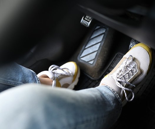 edi_lgp_haynescolumnpic