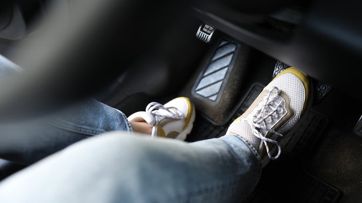 edi_lgp_haynescolumnpic