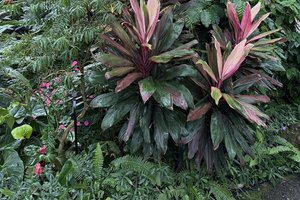 loc_lgp_myerscolumnpic