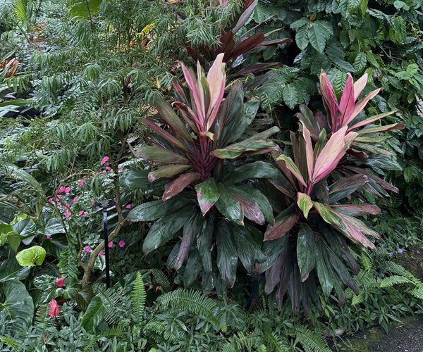 loc_lgp_myerscolumnpic