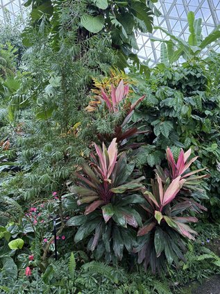 loc_lgp_myerscolumnpic