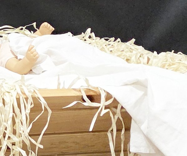 christmas manger 2025