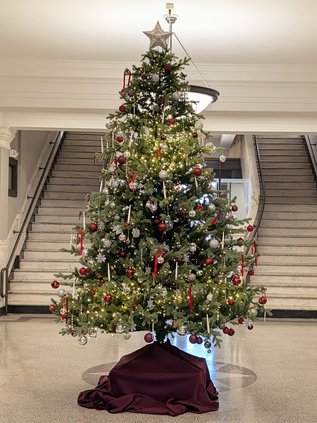 rotunda tree 2025