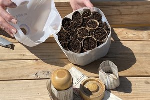 loc_lgp_myerscolumnpic