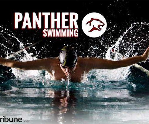 panther swimming