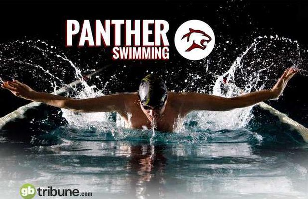 panther swimming