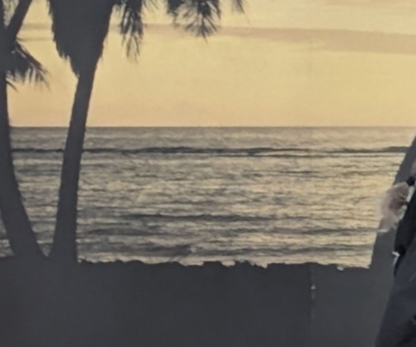 biz_lgp_fullerbrushpic