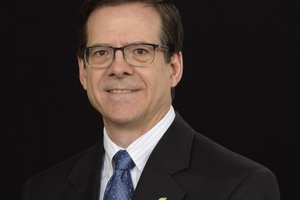 biz_lgp_sunflowerelectricpic