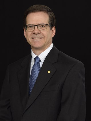 biz_lgp_sunflowerelectricpic